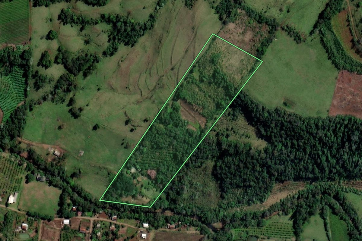 Imagem de satélite do imóvel rural em Alpestre (RS), com o contorno declarado no CAR desenhado por cima.