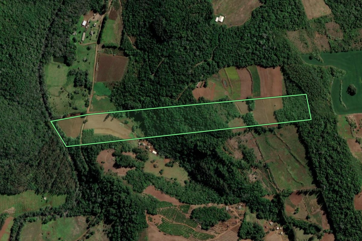 Imagem de satélite do imóvel rural em Alpestre (RS), com o contorno declarado no CAR desenhado por cima.