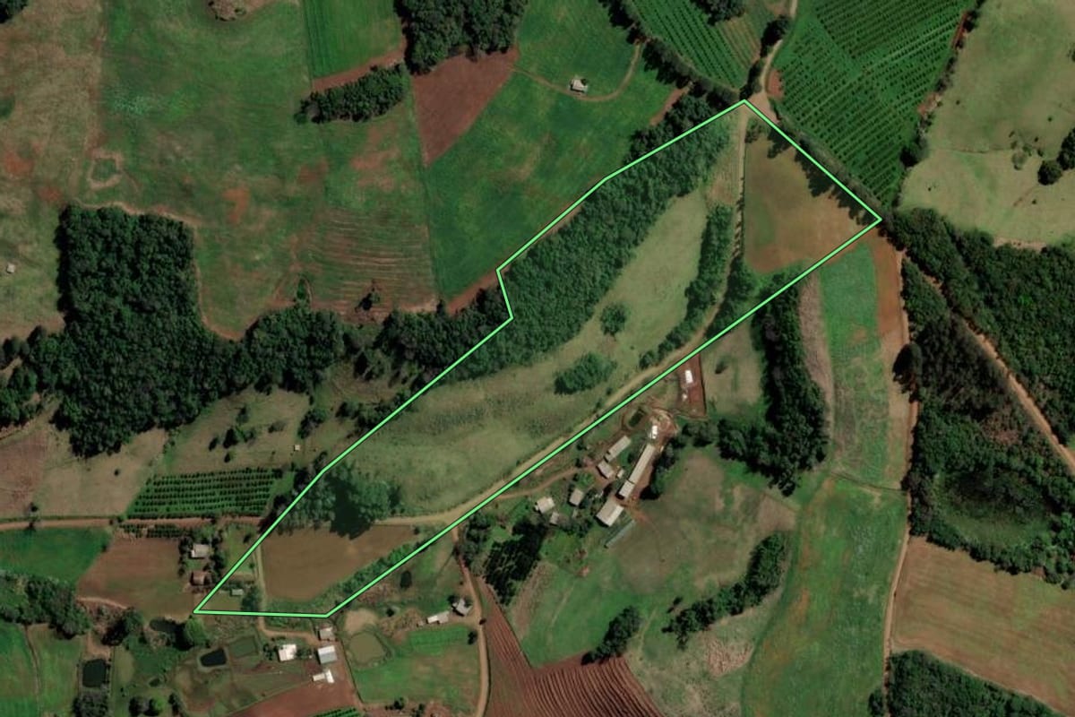 Imagem de satélite do imóvel rural em Alpestre (RS), com o contorno declarado no CAR desenhado por cima.