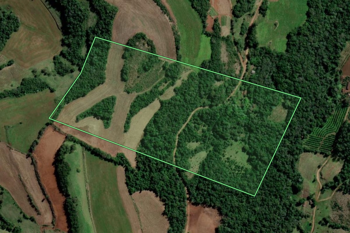 Imagem de satélite do imóvel rural em Alpestre (RS), com o contorno declarado no CAR desenhado por cima.