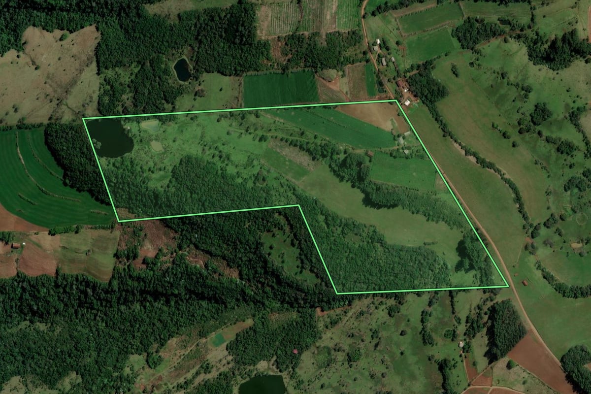 Imagem de satélite do imóvel rural em Alpestre (RS), com o contorno declarado no CAR desenhado por cima.