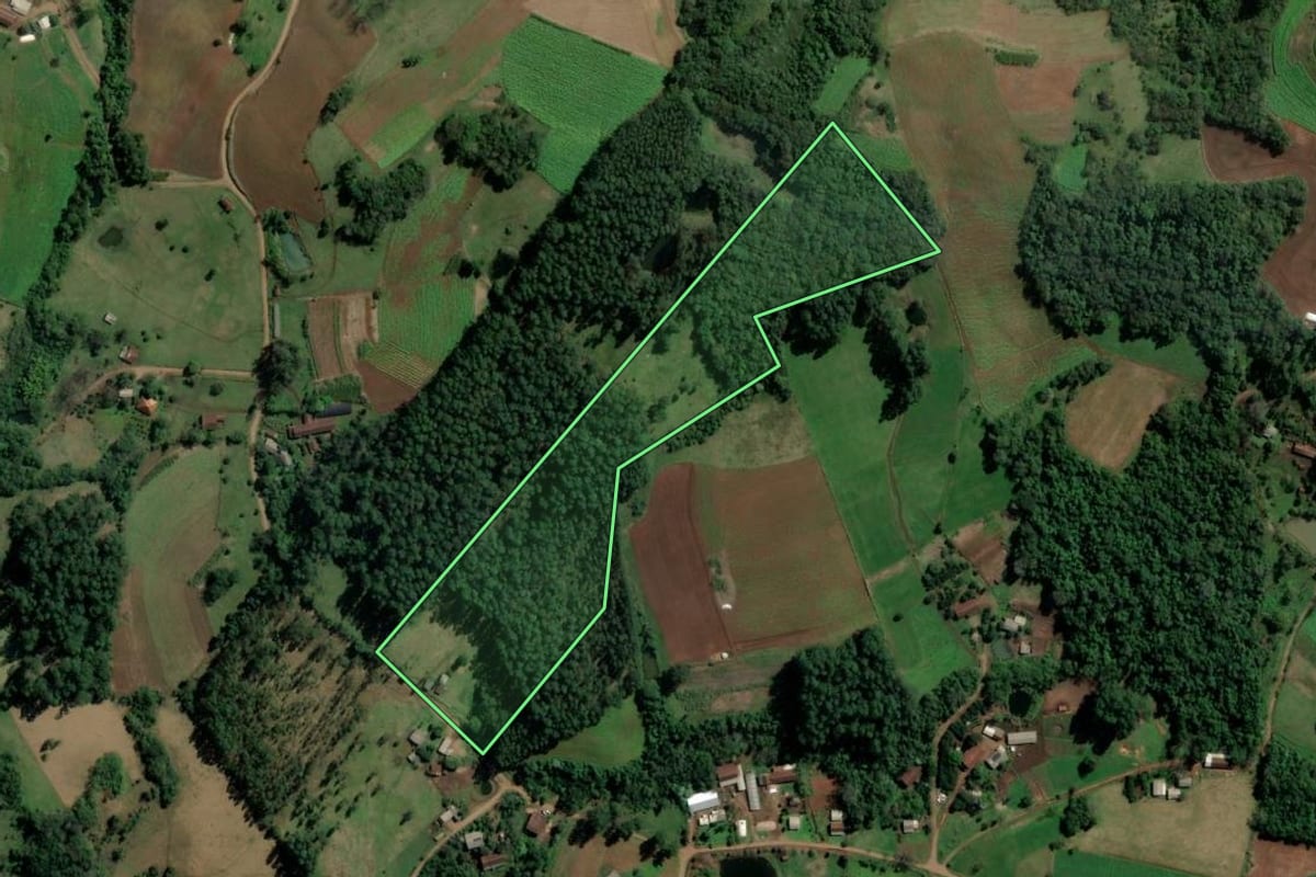 Imagem de satélite do imóvel rural em Alpestre (RS), com o contorno declarado no CAR desenhado por cima.