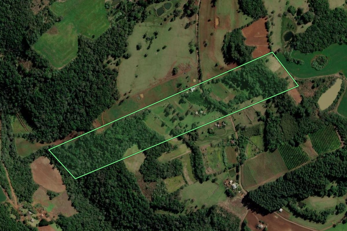 Imagem de satélite do imóvel rural em Alpestre (RS), com o contorno declarado no CAR desenhado por cima.
