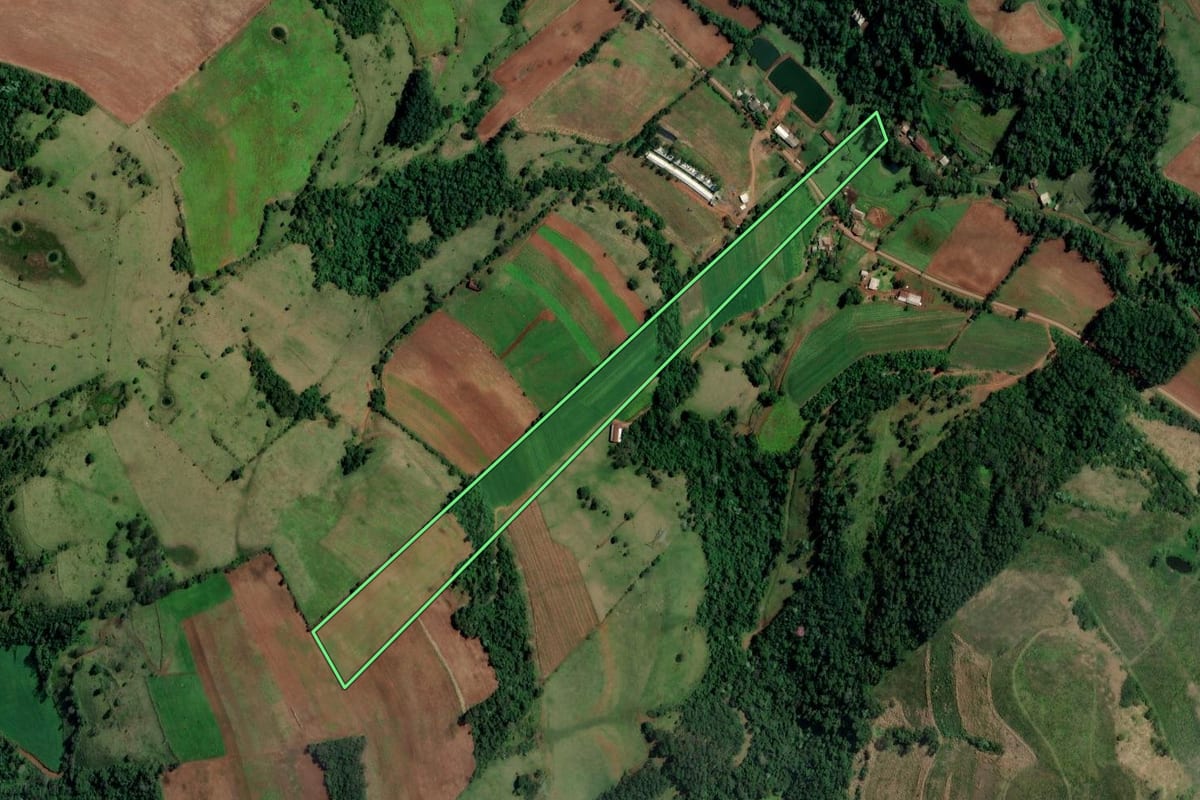 Imagem de satélite do imóvel rural em Alpestre (RS), com o contorno declarado no CAR desenhado por cima.