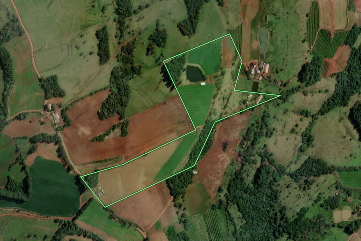Imagem de satélite do imóvel rural em Alpestre (RS), com o contorno declarado no CAR desenhado por cima.