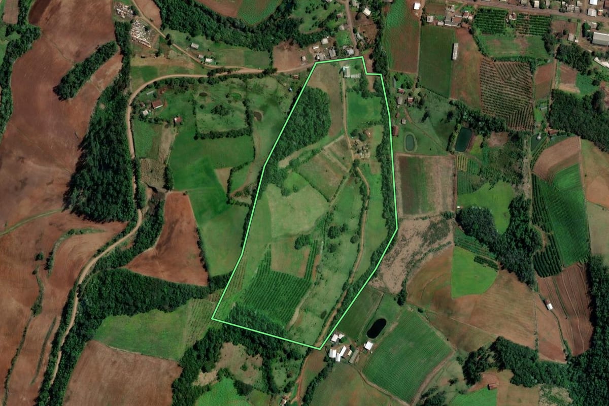 Imagem de satélite do imóvel rural em Alpestre (RS), com o contorno declarado no CAR desenhado por cima.