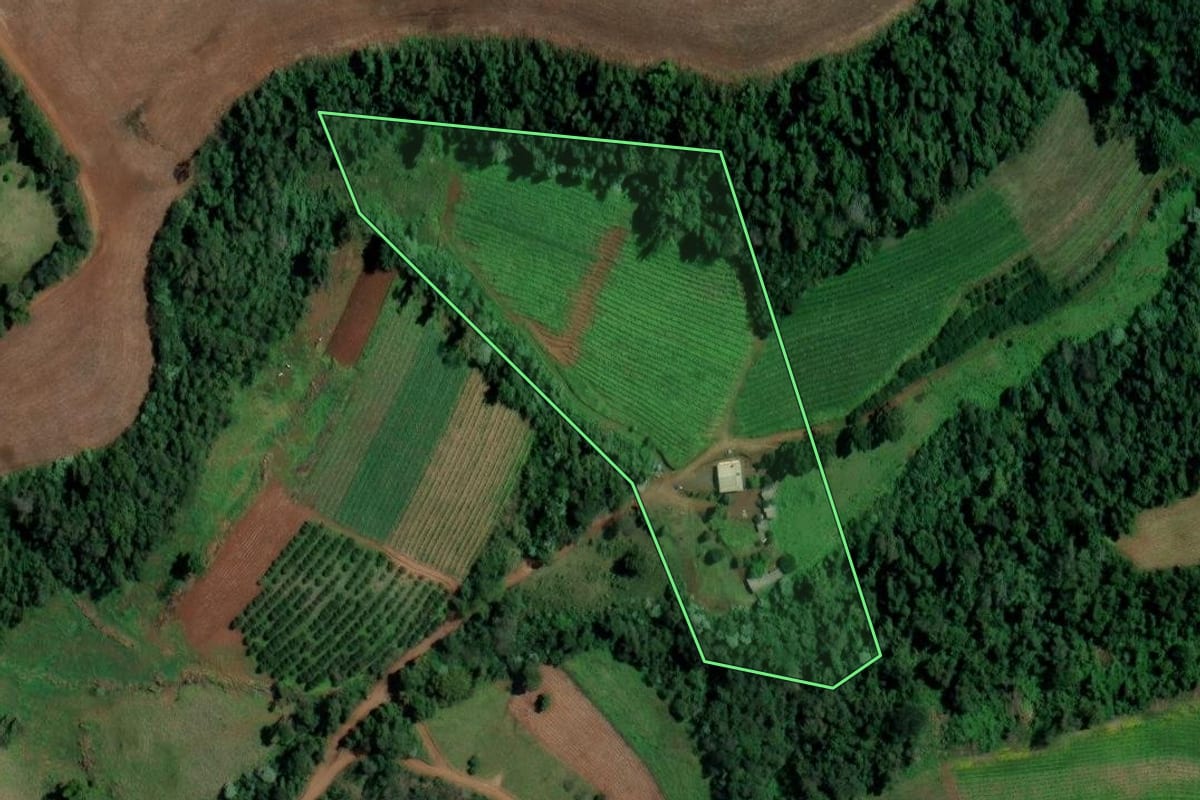 Imagem de satélite do imóvel rural em Alpestre (RS), com o contorno declarado no CAR desenhado por cima.