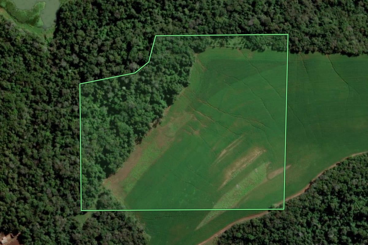 Imagem de satélite do imóvel rural em Alpestre (RS), com o contorno declarado no CAR desenhado por cima.