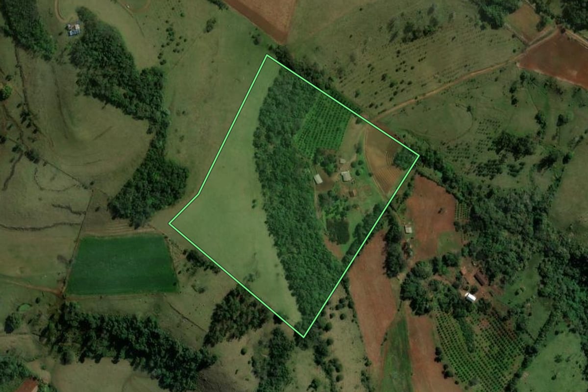 Imagem de satélite do imóvel rural em Alpestre (RS), com o contorno declarado no CAR desenhado por cima.