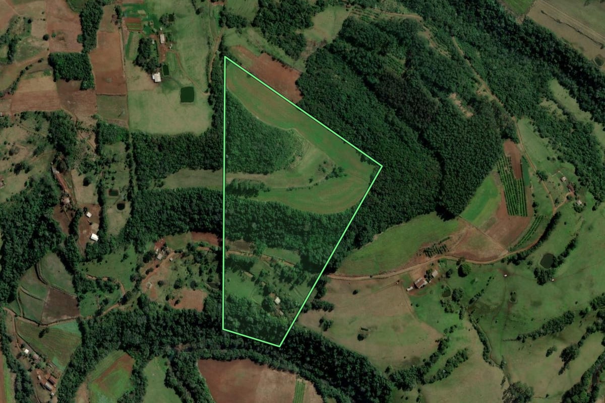 Imagem de satélite do imóvel rural em Alpestre (RS), com o contorno declarado no CAR desenhado por cima.