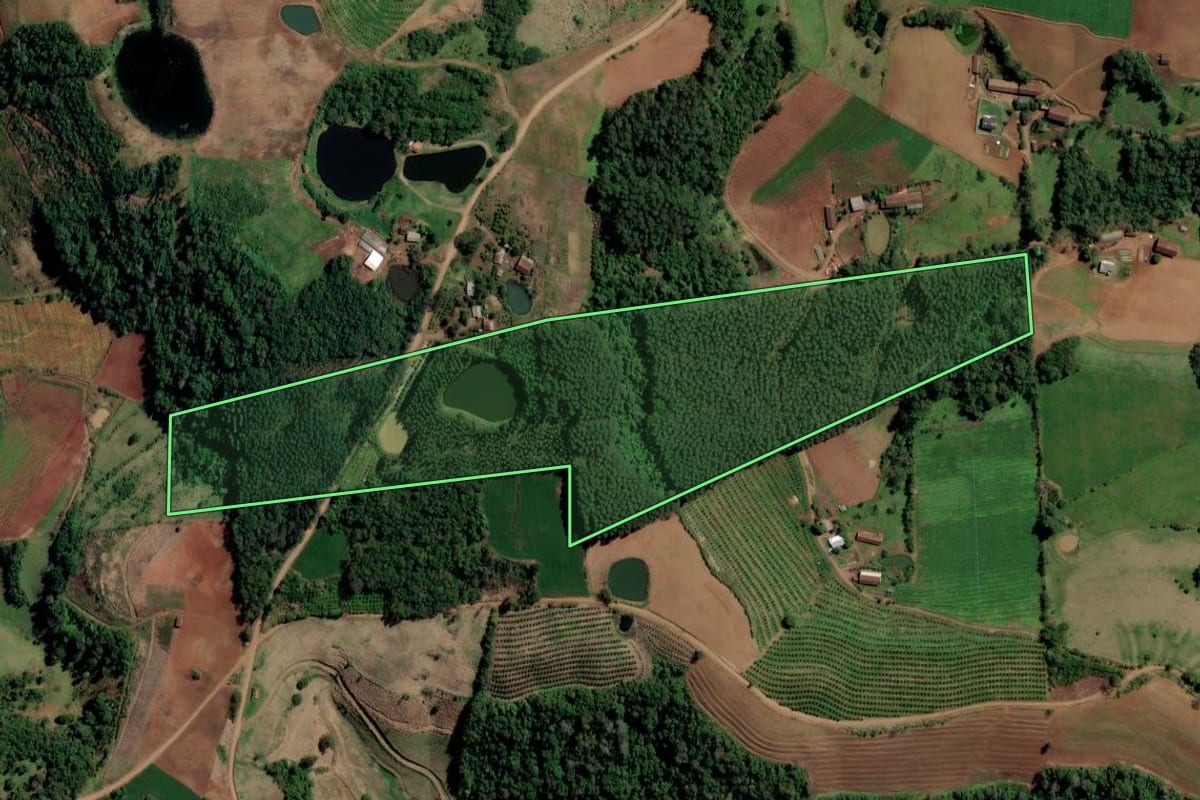 Imagem de satélite do imóvel rural em Alpestre (RS), com o contorno declarado no CAR desenhado por cima.