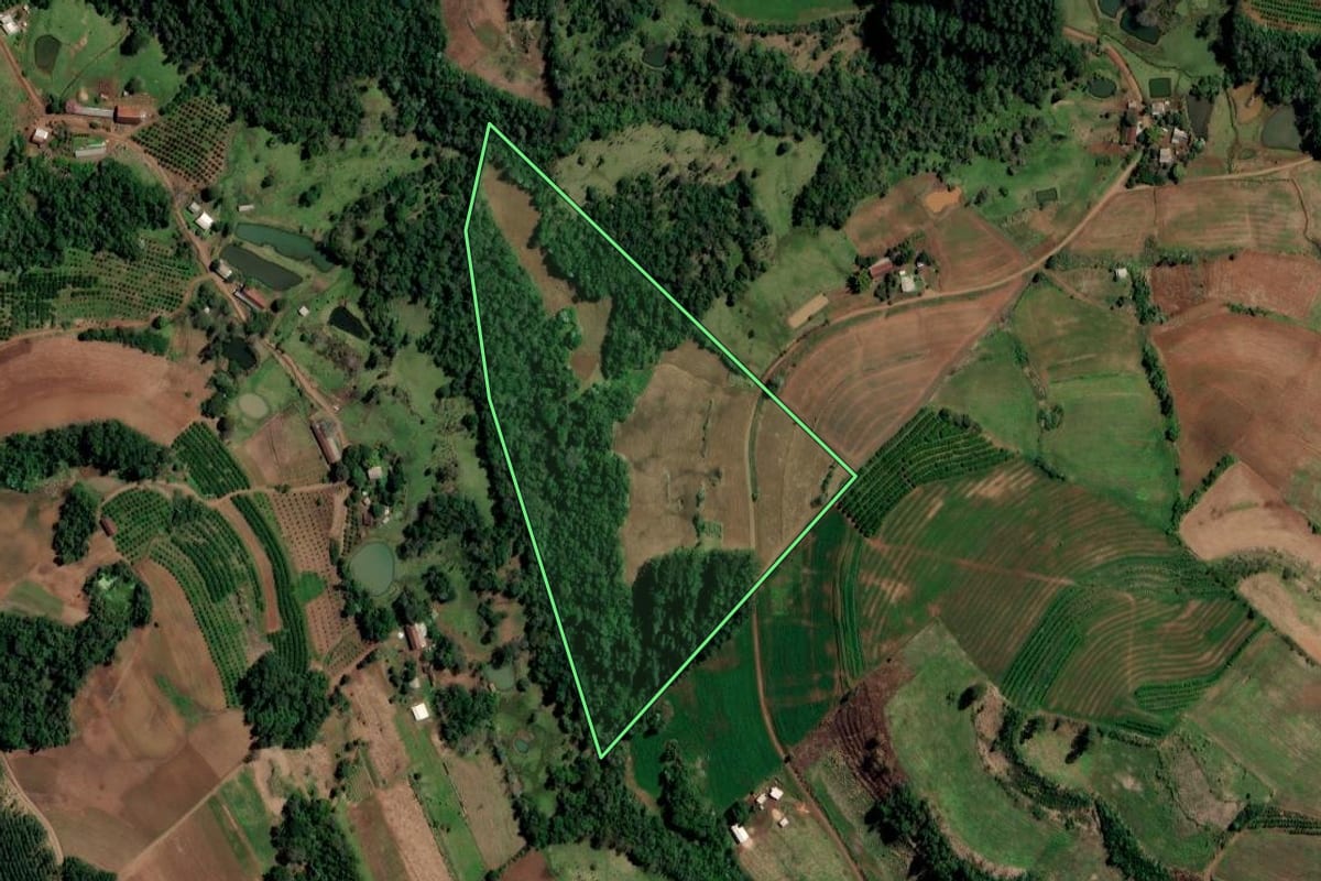 Imagem de satélite do imóvel rural em Alpestre (RS), com o contorno declarado no CAR desenhado por cima.