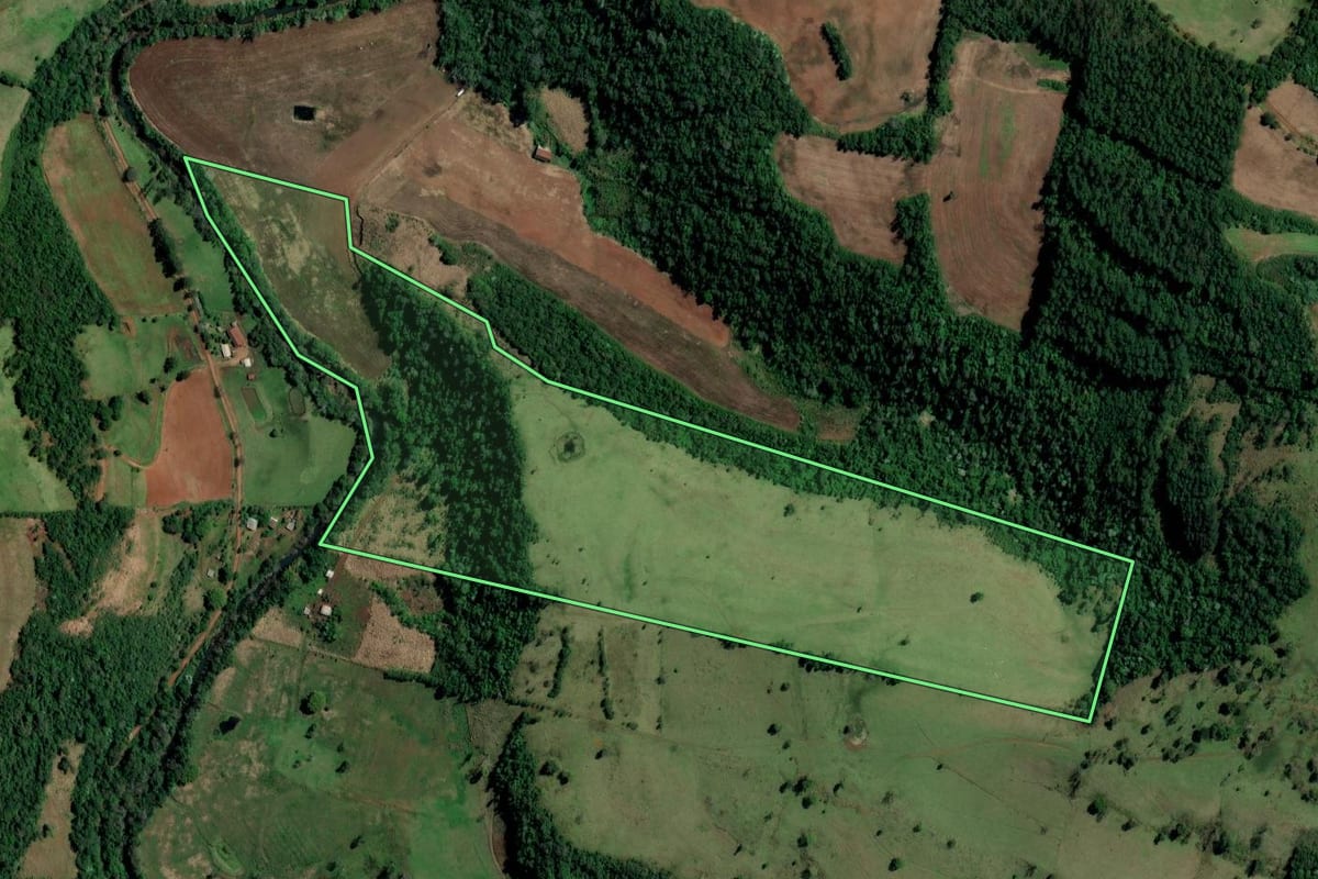 Imagem de satélite do imóvel rural em Alpestre (RS), com o contorno declarado no CAR desenhado por cima.