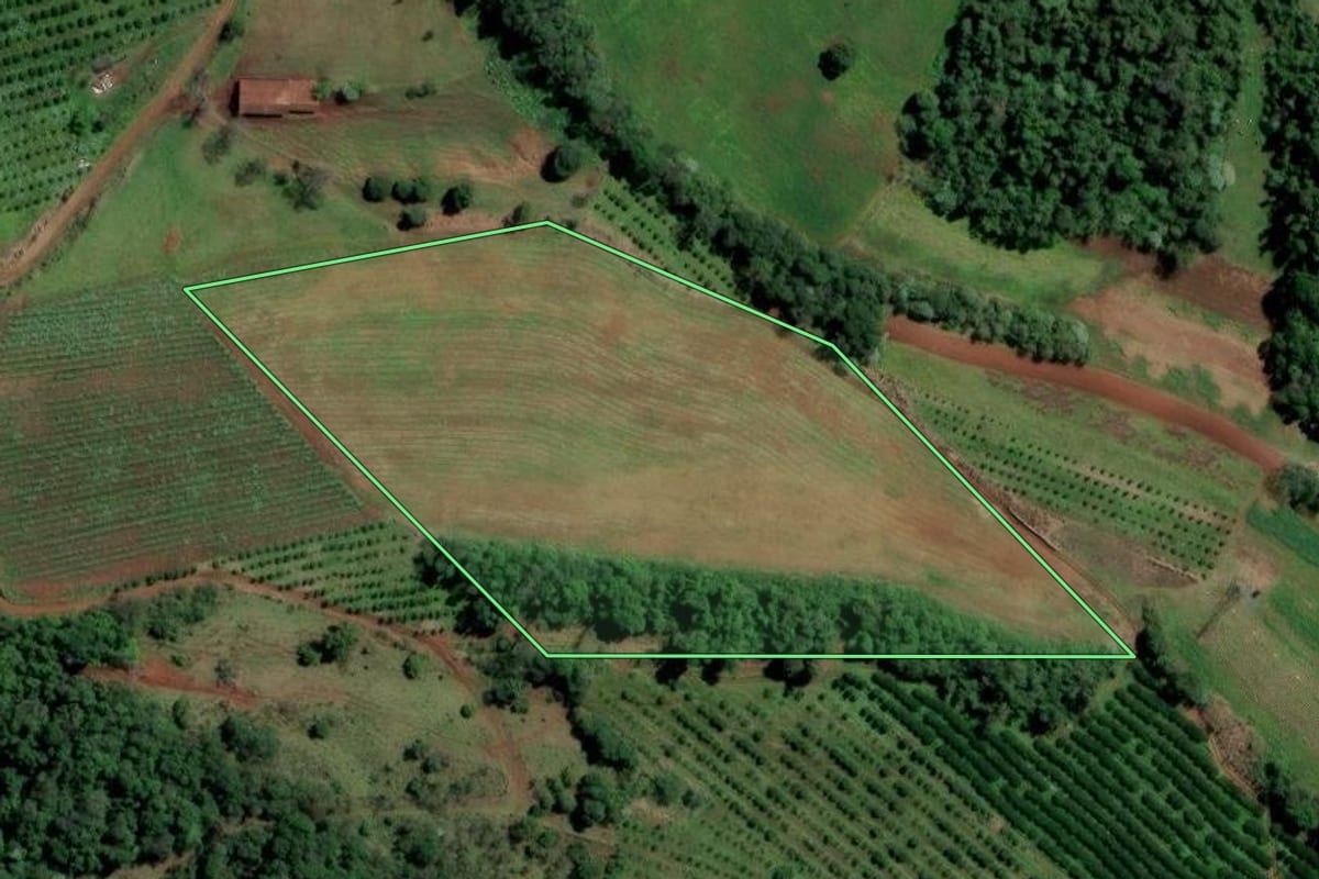 Imagem de satélite do imóvel rural em Alpestre (RS), com o contorno declarado no CAR desenhado por cima.