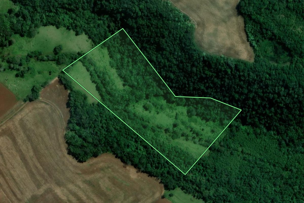 Imagem de satélite do imóvel rural em Alpestre (RS), com o contorno declarado no CAR desenhado por cima.