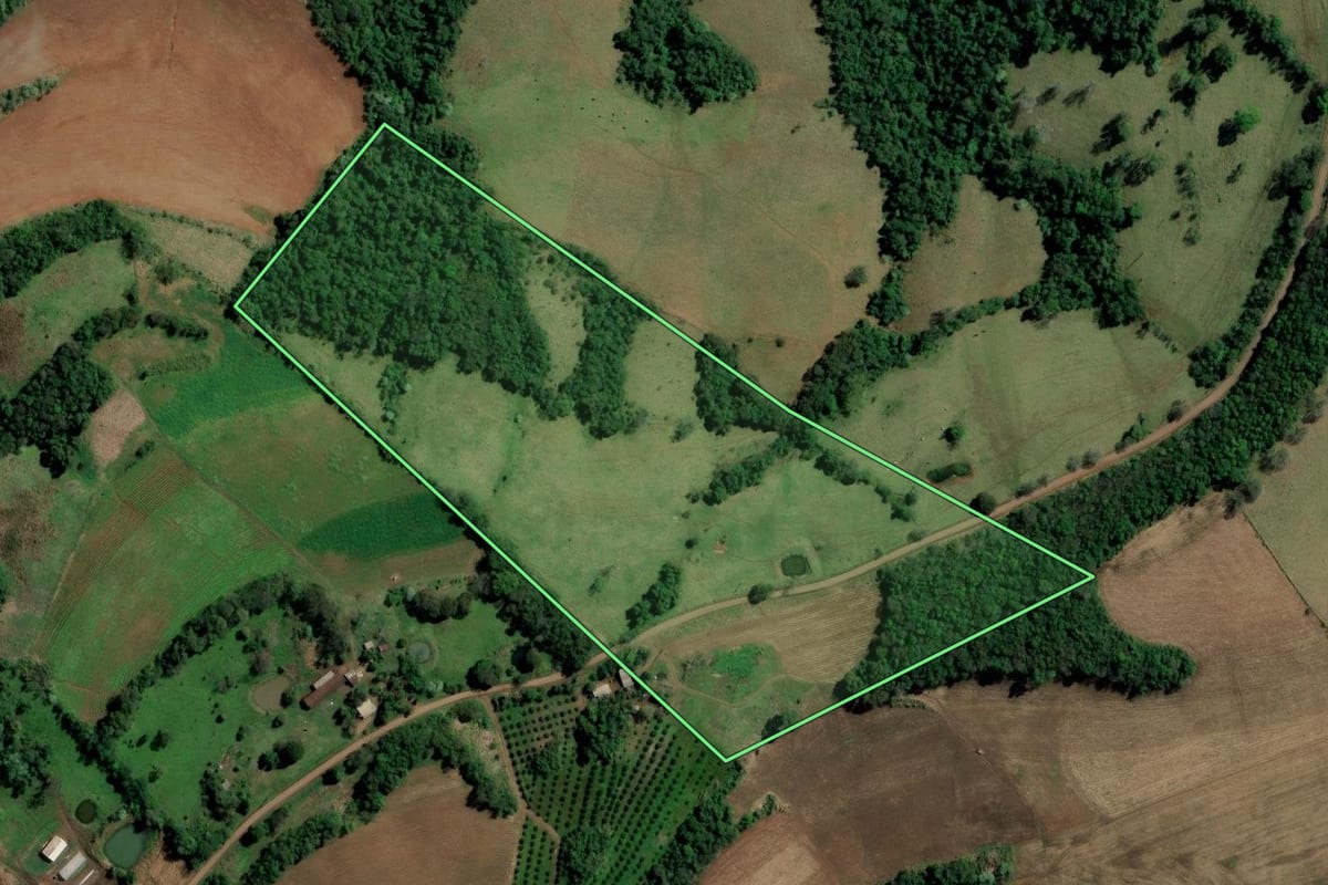 Imagem de satélite do imóvel rural em Alpestre (RS), com o contorno declarado no CAR desenhado por cima.