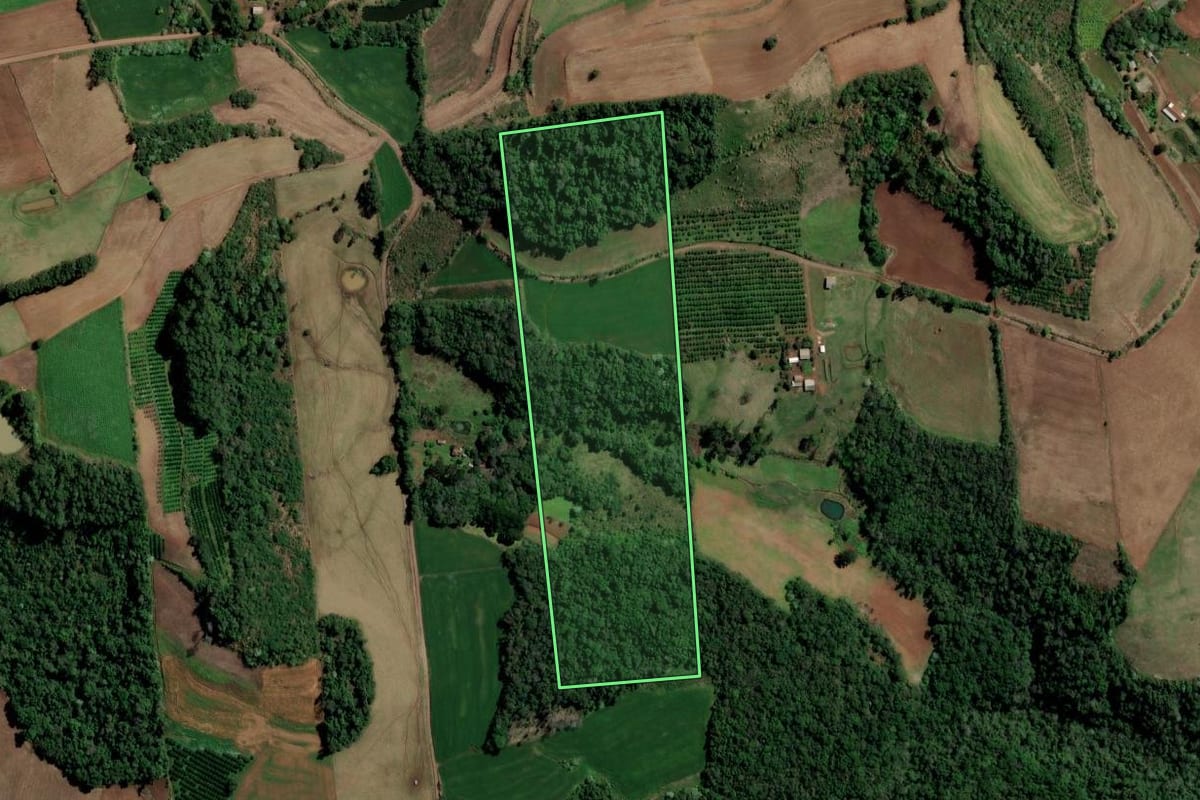 Imagem de satélite do imóvel rural em Alpestre (RS), com o contorno declarado no CAR desenhado por cima.