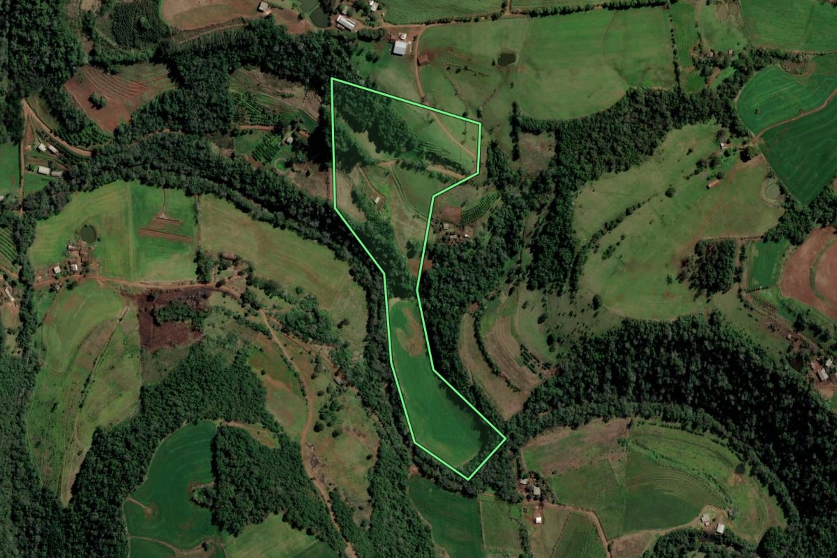 Imagem de satélite do imóvel rural em Alpestre (RS), com o contorno declarado no CAR desenhado por cima.