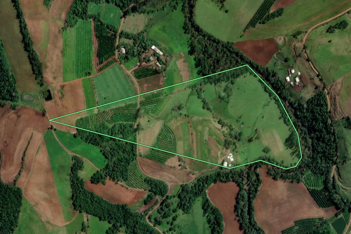 Imagem de satélite do imóvel rural em Alpestre (RS), com o contorno declarado no CAR desenhado por cima.