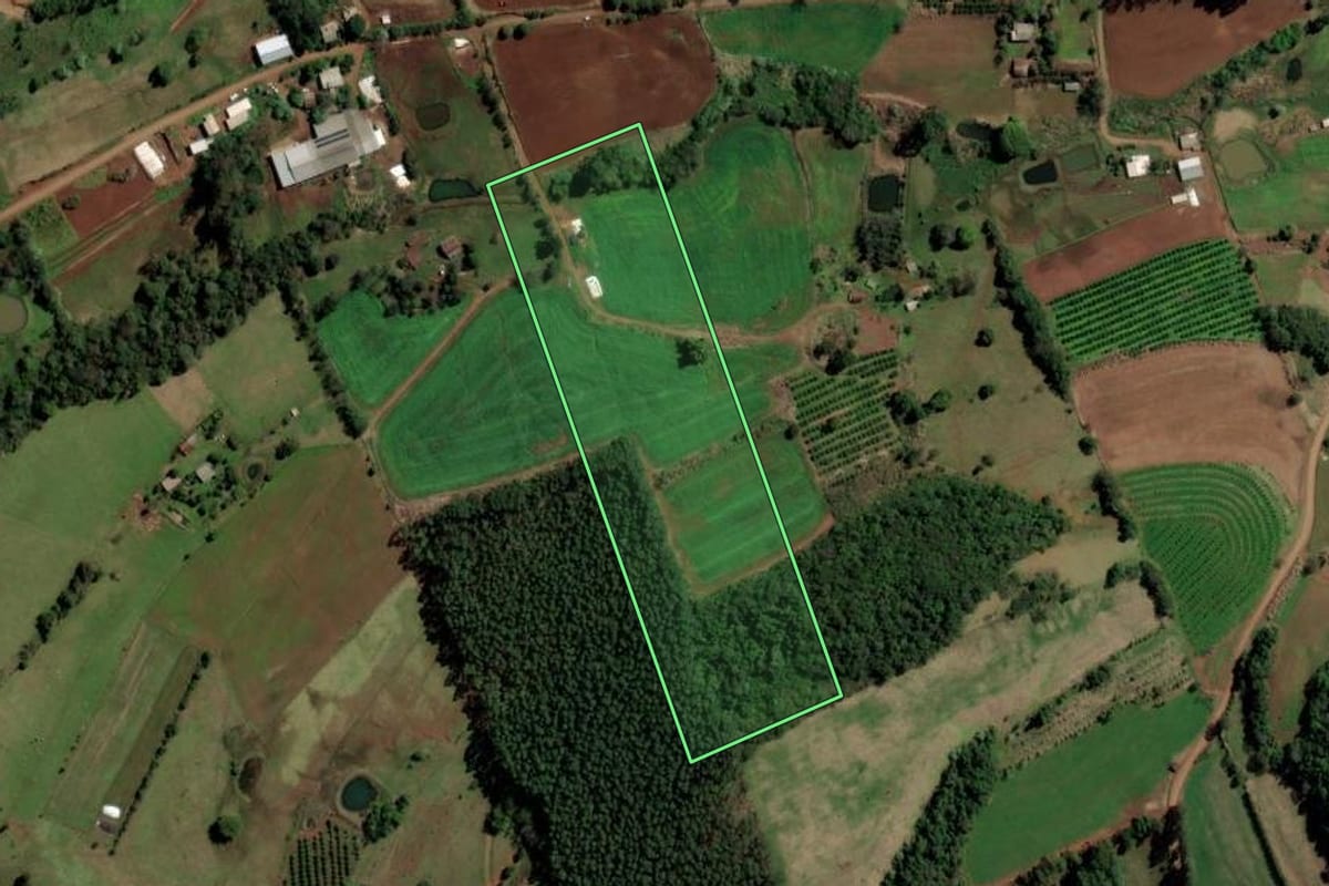 Imagem de satélite do imóvel rural em Alpestre (RS), com o contorno declarado no CAR desenhado por cima.