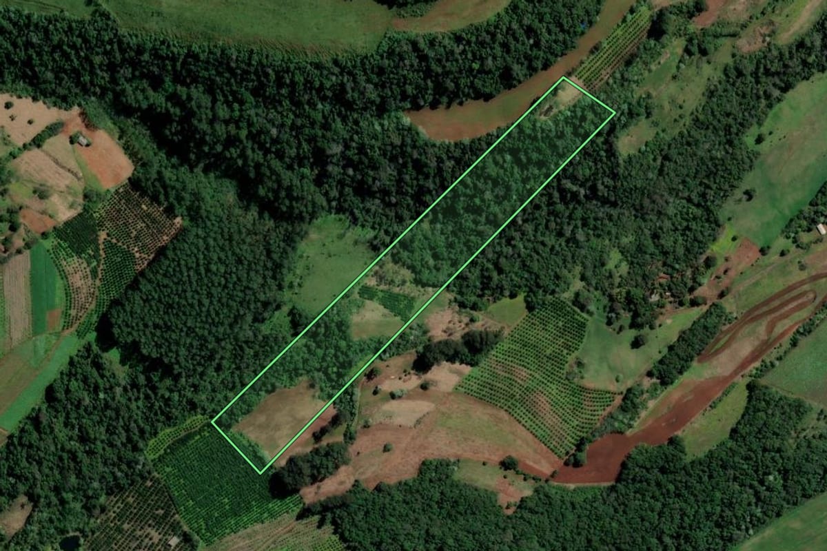 Imagem de satélite do imóvel rural em Alpestre (RS), com o contorno declarado no CAR desenhado por cima.