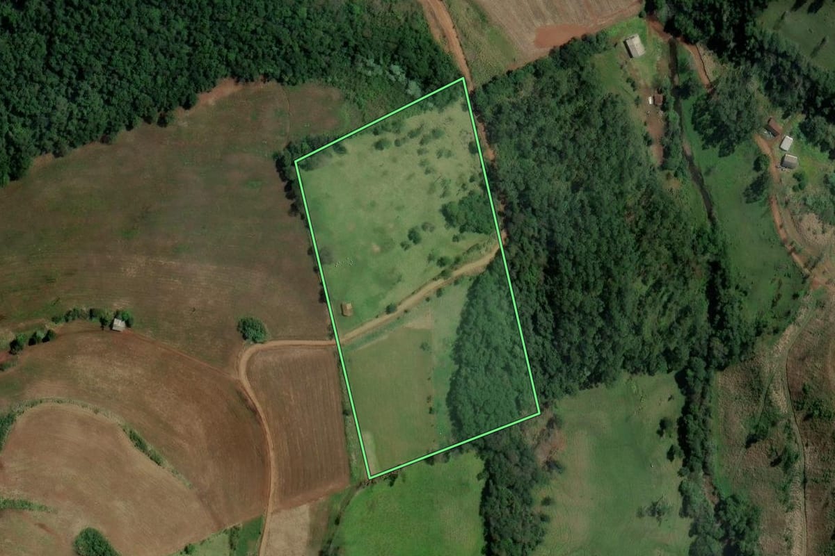 Imagem de satélite do imóvel rural em Alpestre (RS), com o contorno declarado no CAR desenhado por cima.