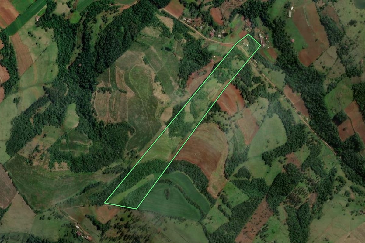 Imagem de satélite do imóvel rural em Alpestre (RS), com o contorno declarado no CAR desenhado por cima.