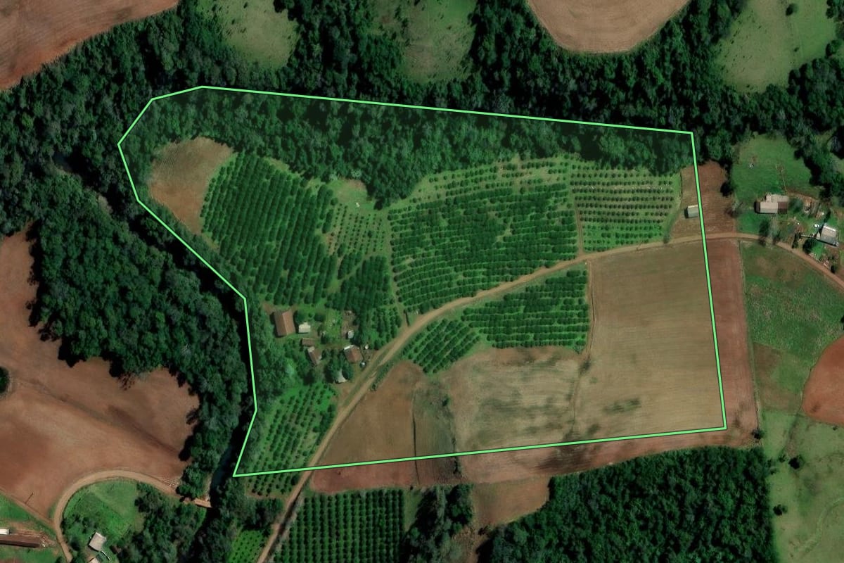 Imagem de satélite do imóvel rural em Alpestre (RS), com o contorno declarado no CAR desenhado por cima.