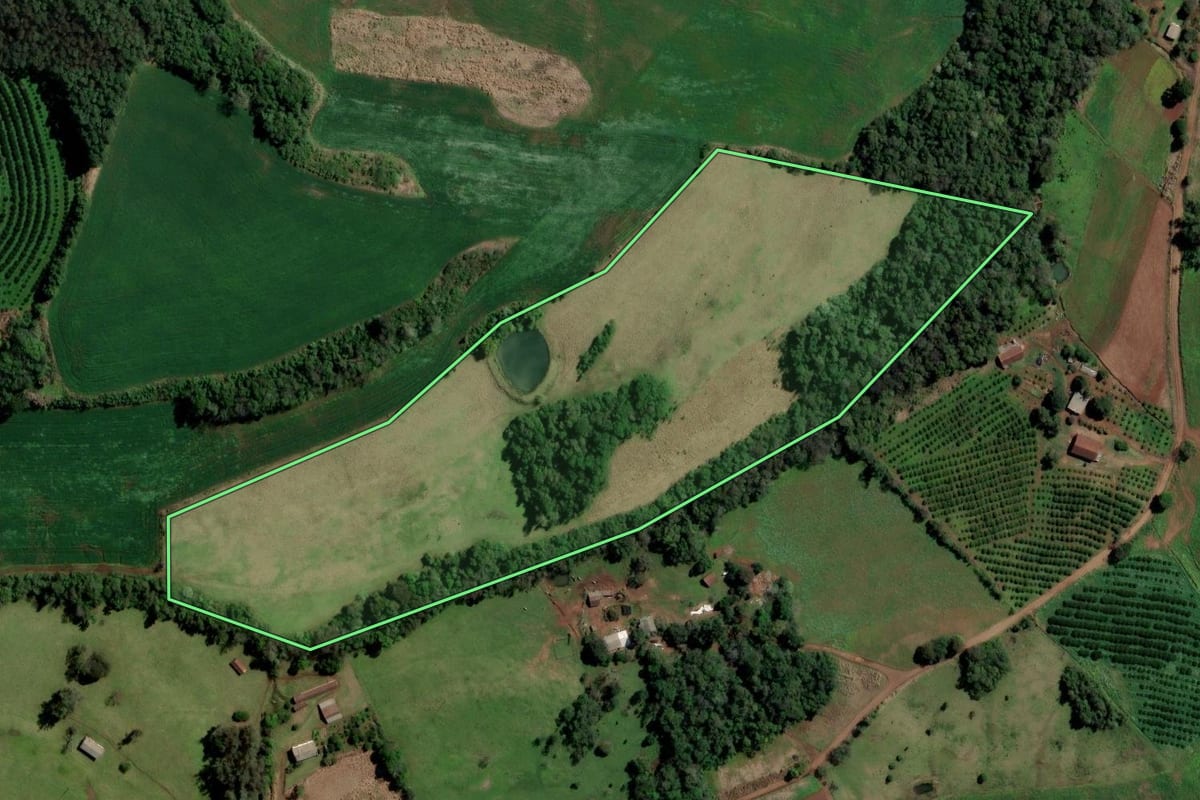 Imagem de satélite do imóvel rural em Alpestre (RS), com o contorno declarado no CAR desenhado por cima.
