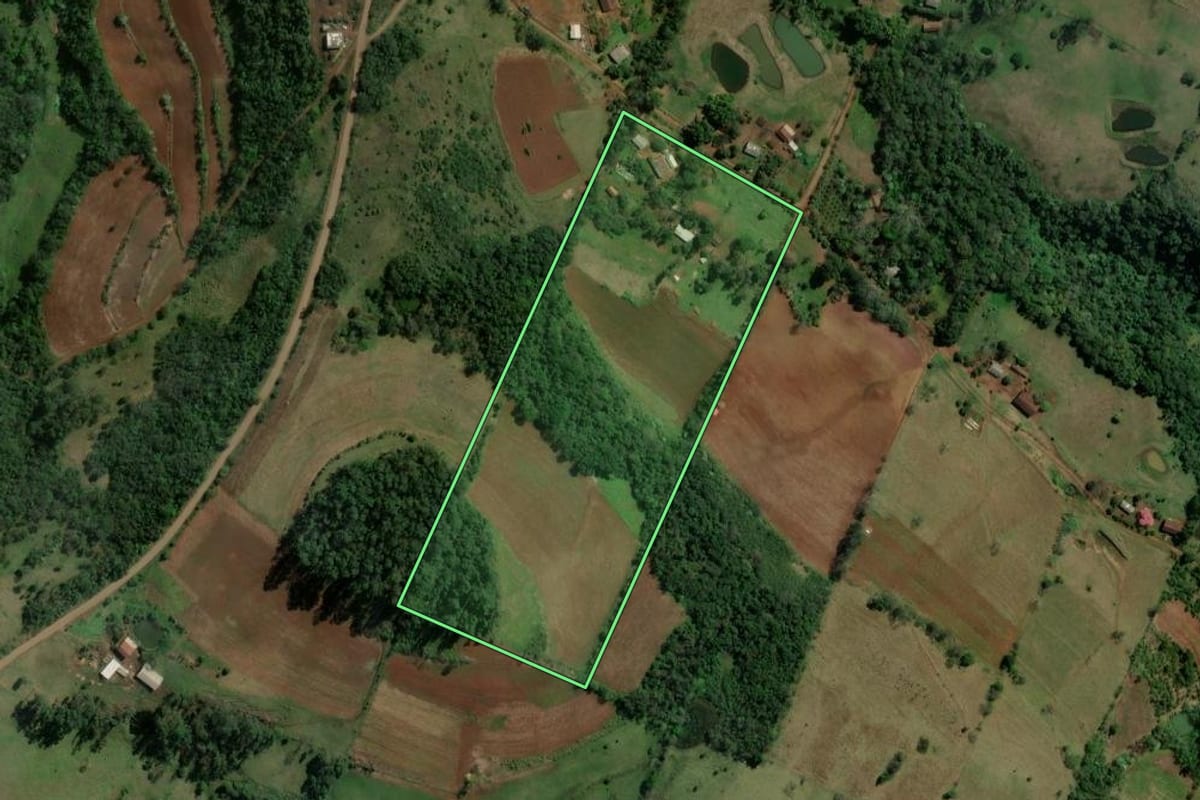 Imagem de satélite do imóvel rural em Alpestre (RS), com o contorno declarado no CAR desenhado por cima.