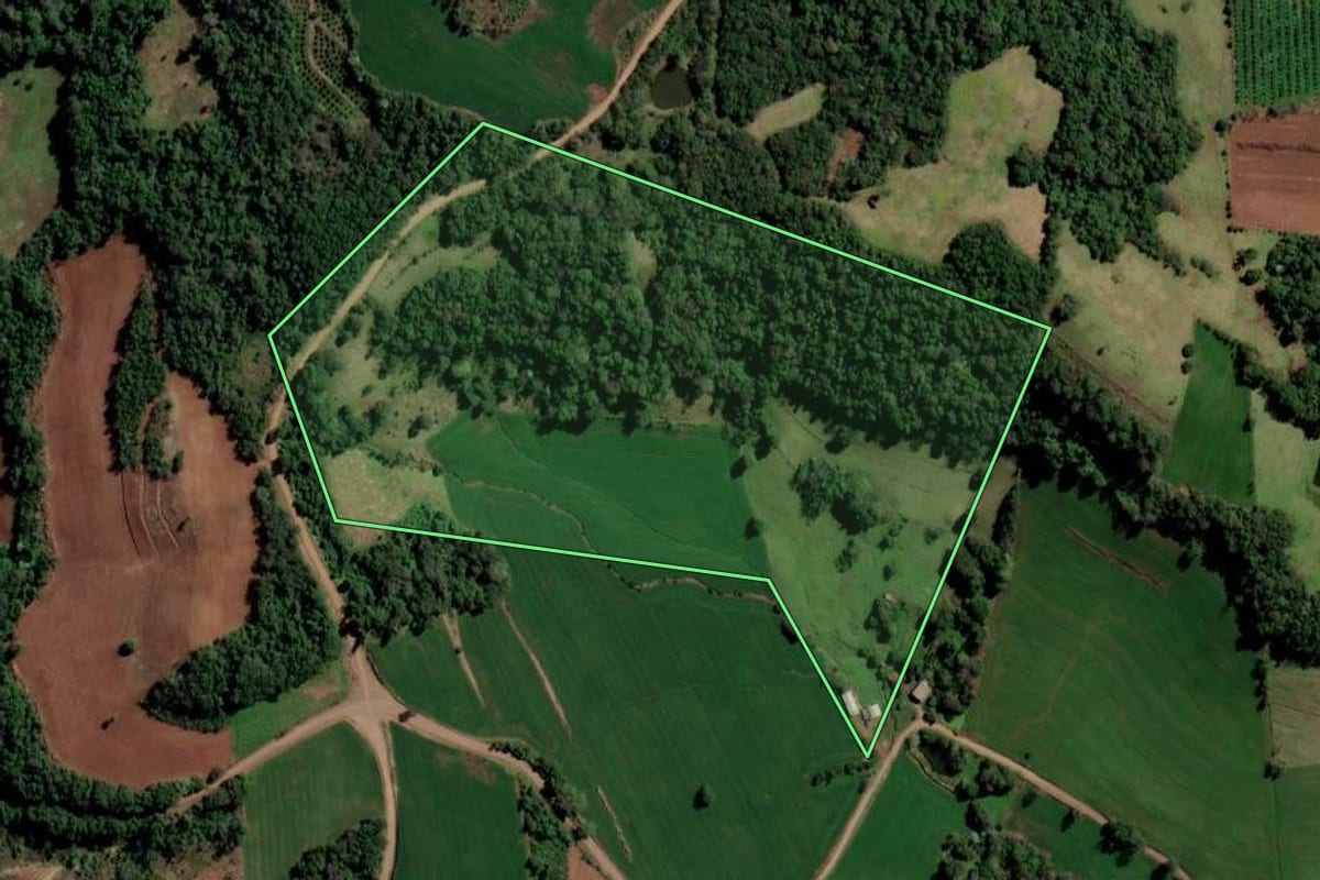 Imagem de satélite do imóvel rural em Alpestre (RS), com o contorno declarado no CAR desenhado por cima.
