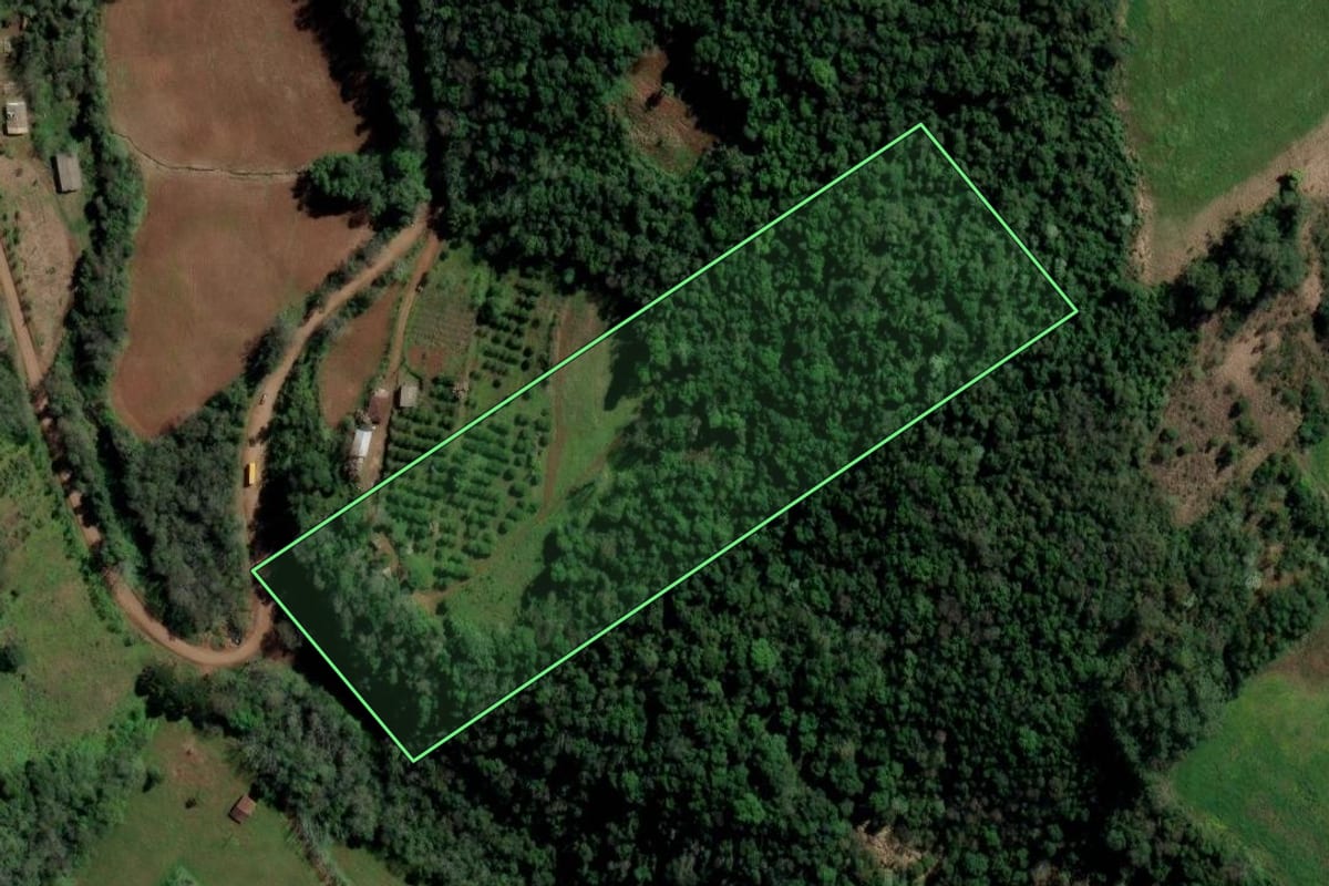 Imagem de satélite do imóvel rural em Alpestre (RS), com o contorno declarado no CAR desenhado por cima.