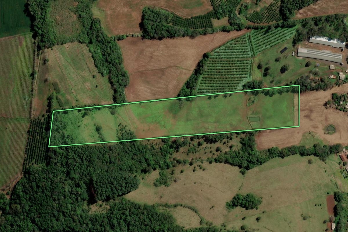 Imagem de satélite do imóvel rural em Alpestre (RS), com o contorno declarado no CAR desenhado por cima.