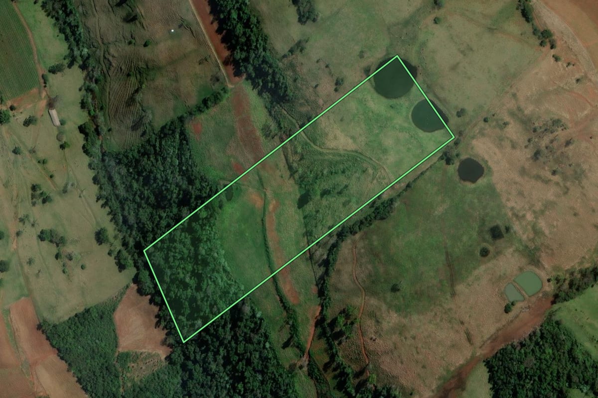 Imagem de satélite do imóvel rural em Alpestre (RS), com o contorno declarado no CAR desenhado por cima.