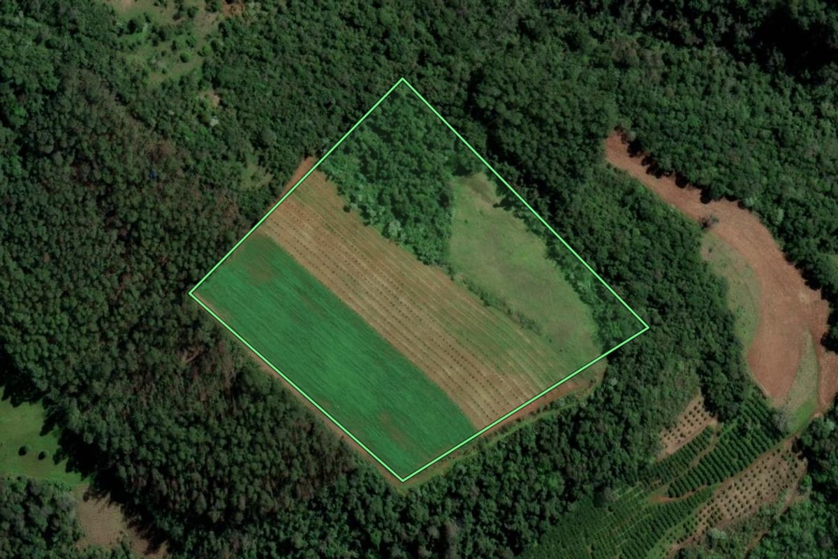 Imagem de satélite do imóvel rural em Alpestre (RS), com o contorno declarado no CAR desenhado por cima.