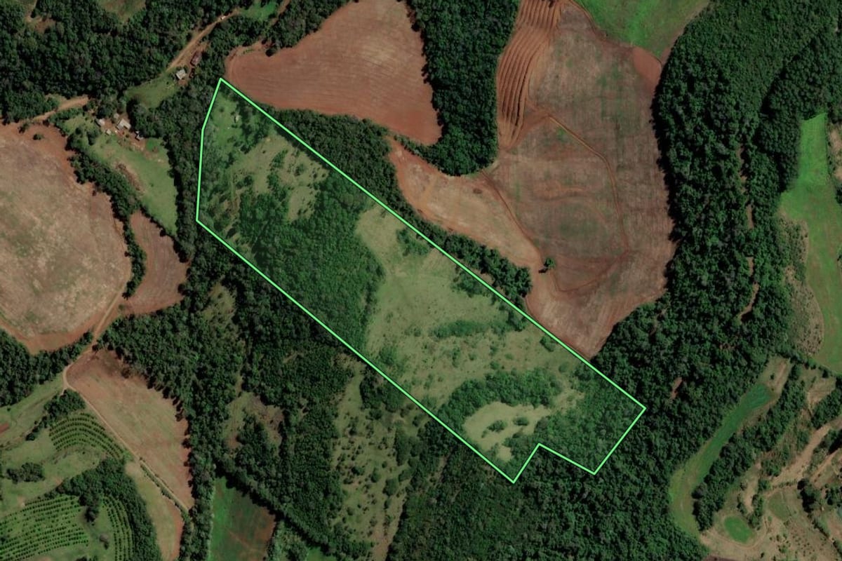 Imagem de satélite do imóvel rural em Alpestre (RS), com o contorno declarado no CAR desenhado por cima.