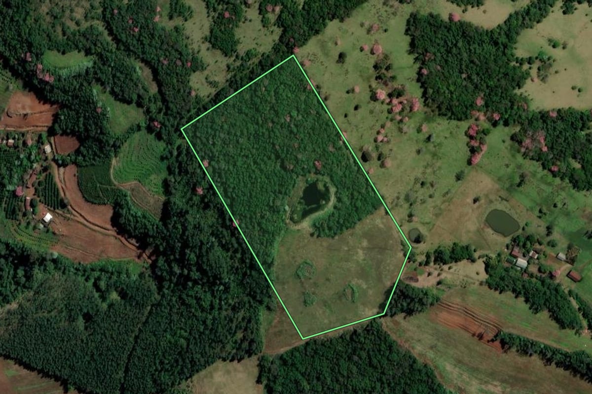 Imagem de satélite do imóvel rural em Alpestre (RS), com o contorno declarado no CAR desenhado por cima.