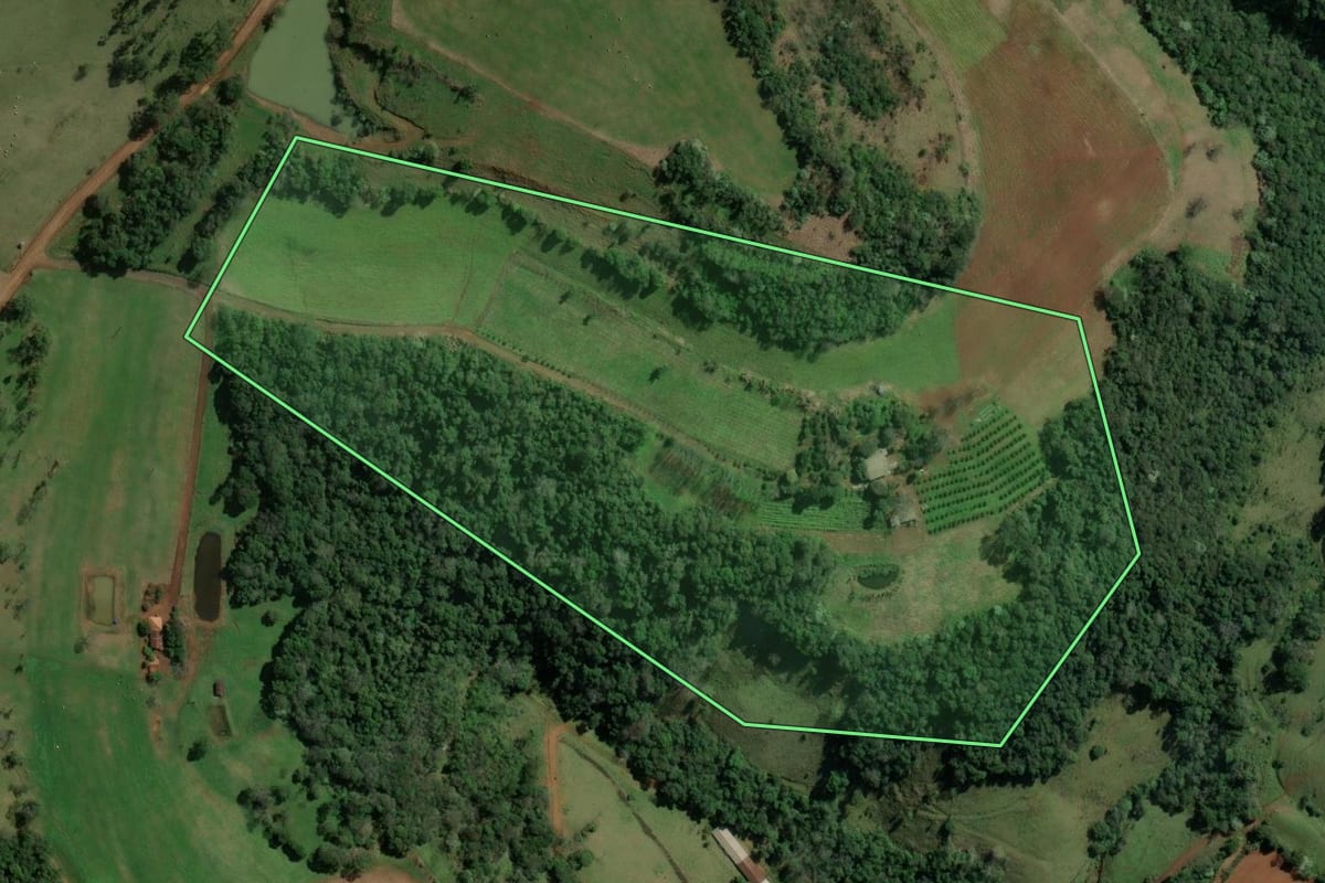 Imagem de satélite do imóvel rural em Alpestre (RS), com o contorno declarado no CAR desenhado por cima.