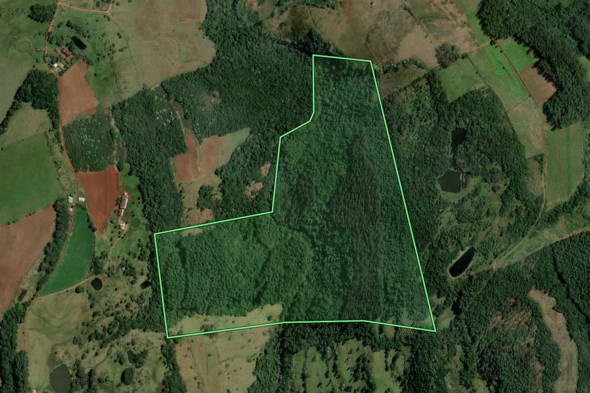 Imagem de satélite do imóvel rural em Alpestre (RS), com o contorno declarado no CAR desenhado por cima.