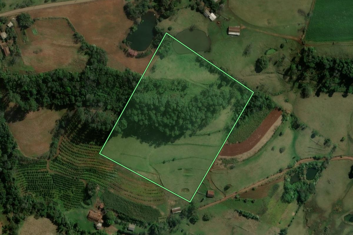Imagem de satélite do imóvel rural em Alpestre (RS), com o contorno declarado no CAR desenhado por cima.