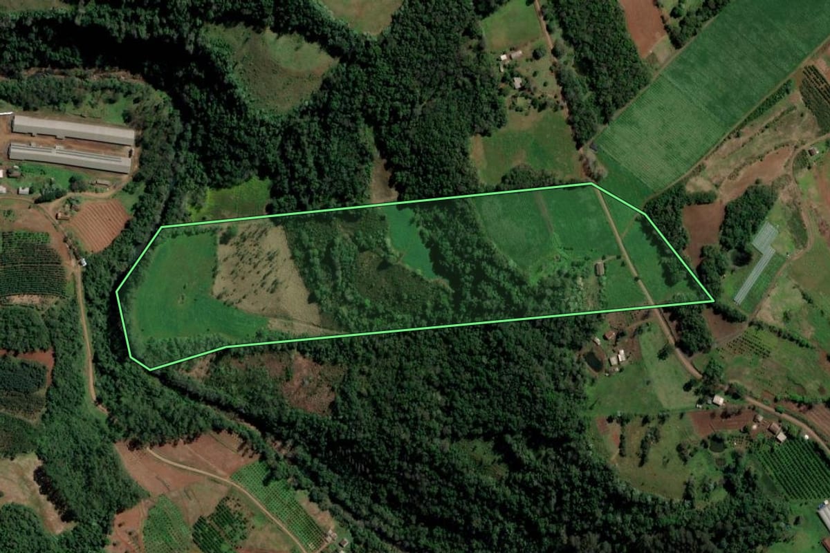 Imagem de satélite do imóvel rural em Alpestre (RS), com o contorno declarado no CAR desenhado por cima.