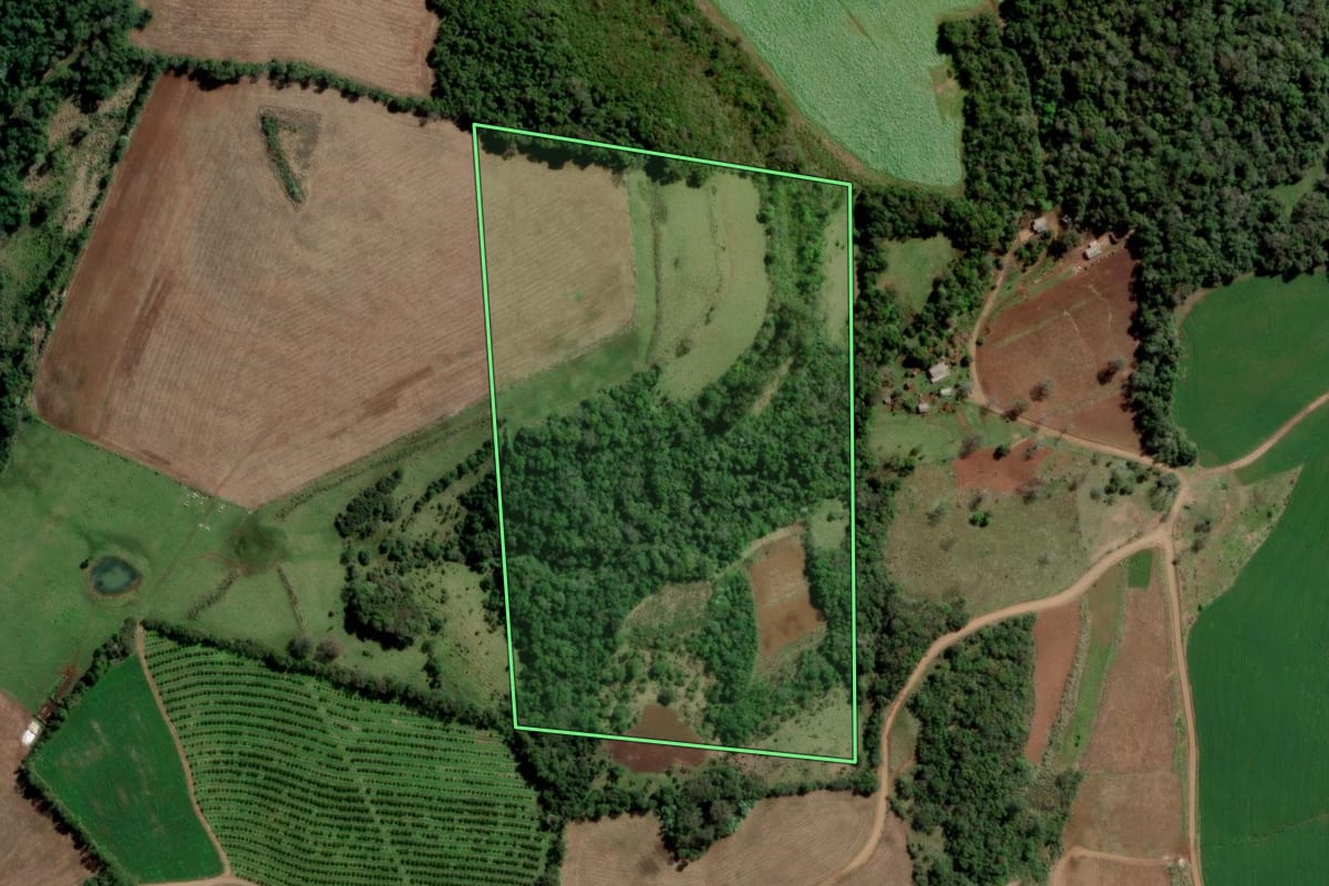 Imagem de satélite do imóvel rural em Alpestre (RS), com o contorno declarado no CAR desenhado por cima.