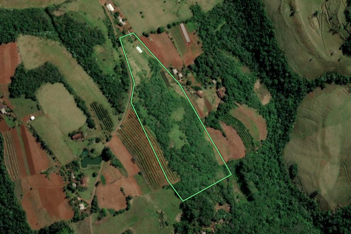 Imagem de satélite do imóvel rural em Alpestre (RS), com o contorno declarado no CAR desenhado por cima.