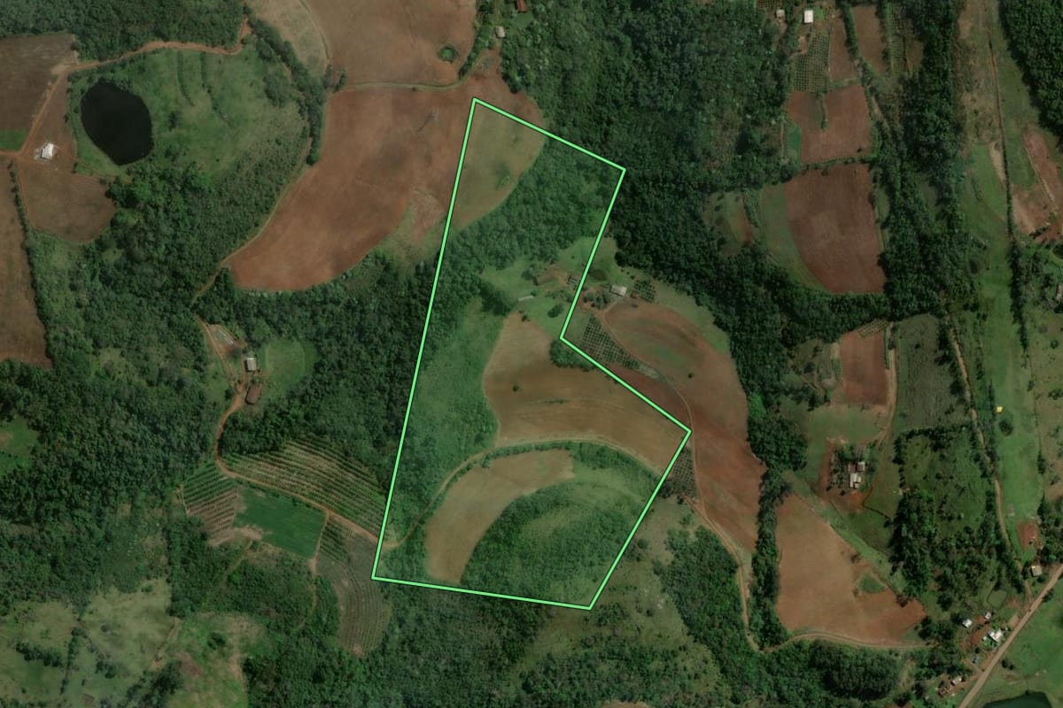 Imagem de satélite do imóvel rural em Alpestre (RS), com o contorno declarado no CAR desenhado por cima.