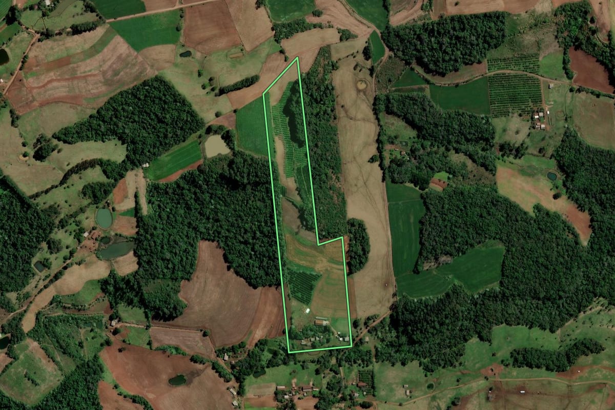 Imagem de satélite do imóvel rural em Alpestre (RS), com o contorno declarado no CAR desenhado por cima.