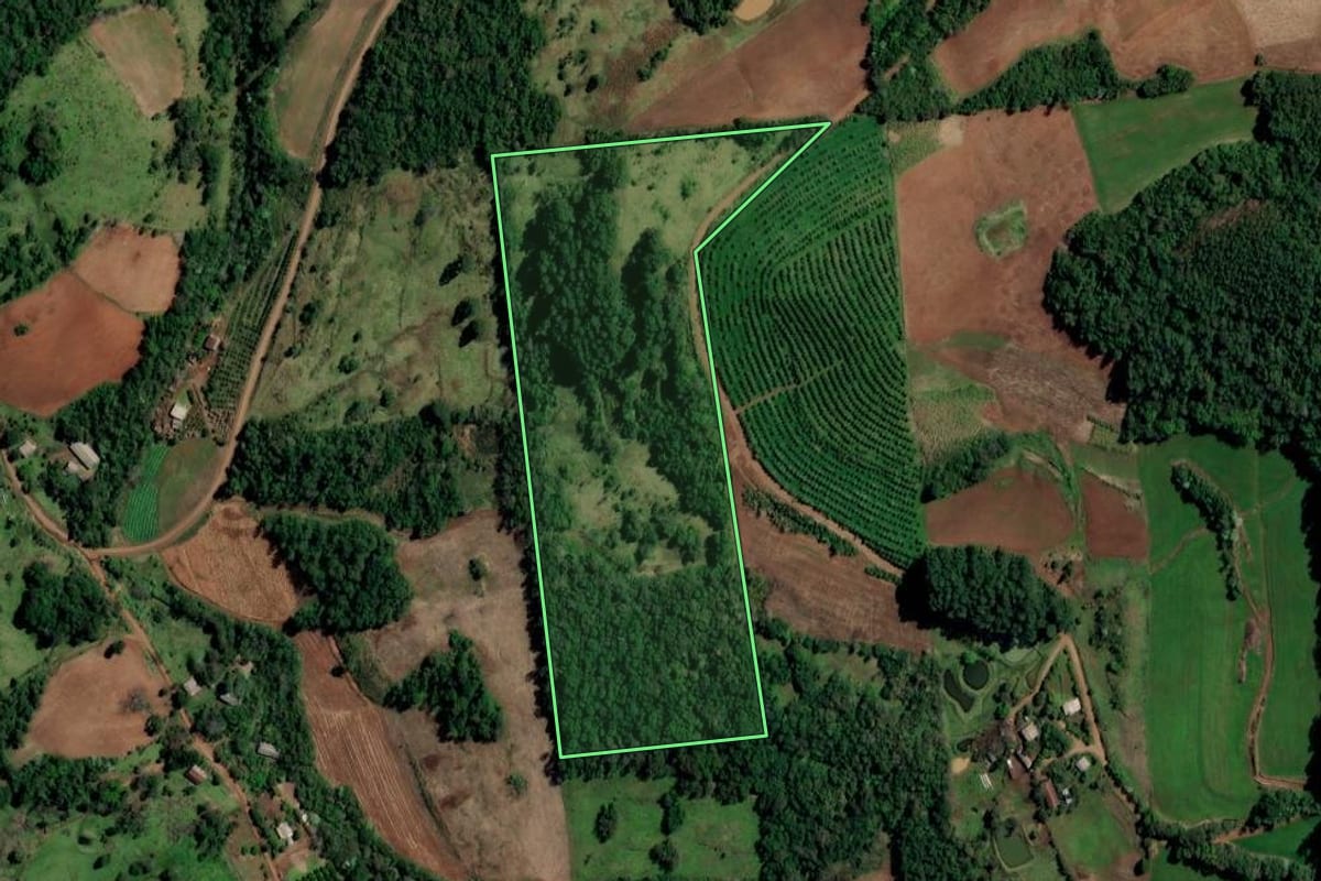 Imagem de satélite do imóvel rural em Alpestre (RS), com o contorno declarado no CAR desenhado por cima.