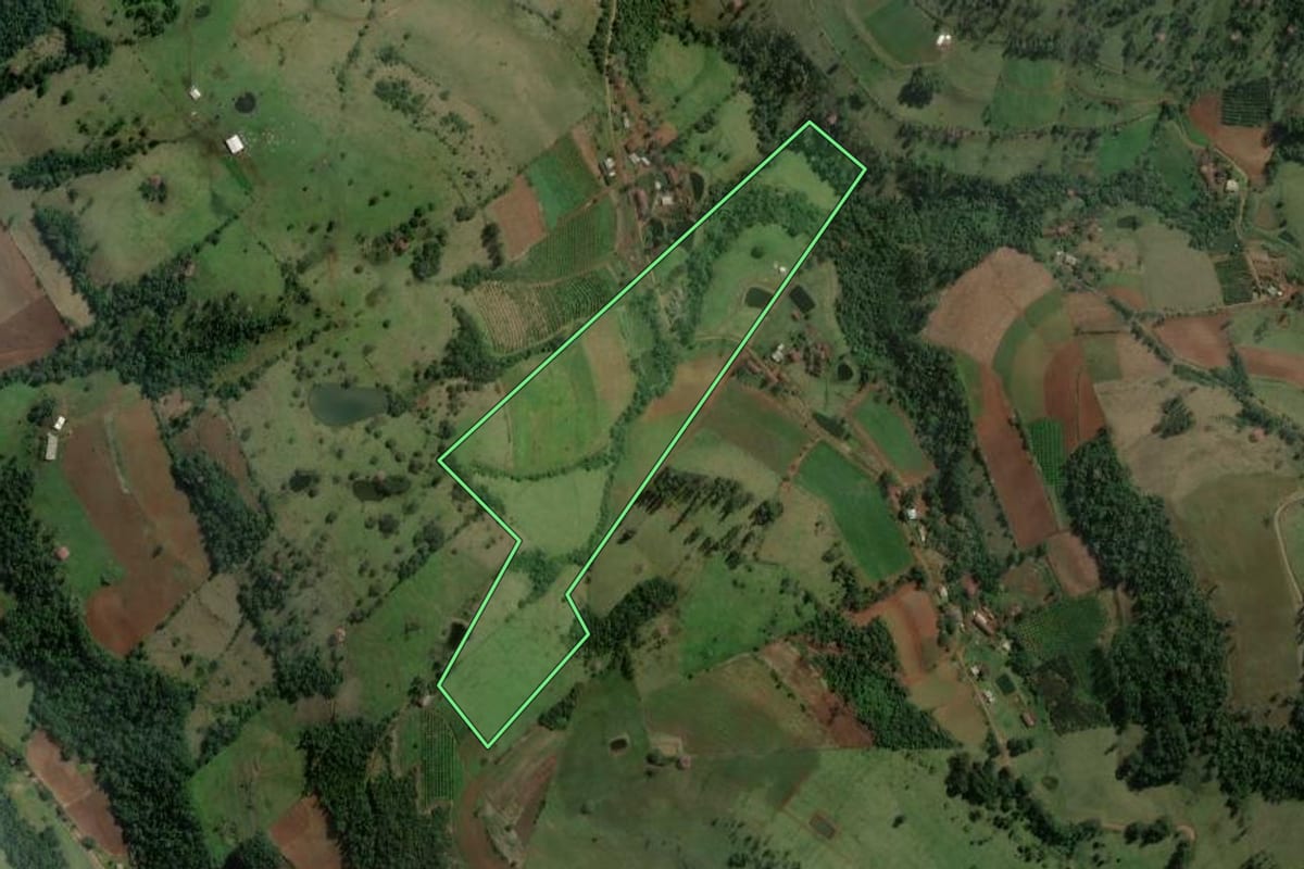 Imagem de satélite do imóvel rural em Alpestre (RS), com o contorno declarado no CAR desenhado por cima.