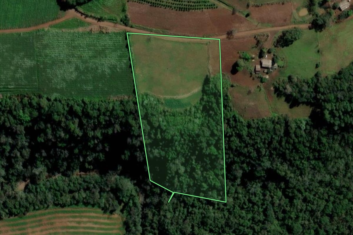 Imagem de satélite do imóvel rural em Alpestre (RS), com o contorno declarado no CAR desenhado por cima.