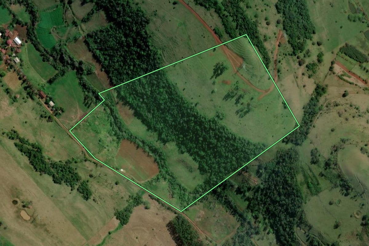 Imagem de satélite do imóvel rural em Alpestre (RS), com o contorno declarado no CAR desenhado por cima.