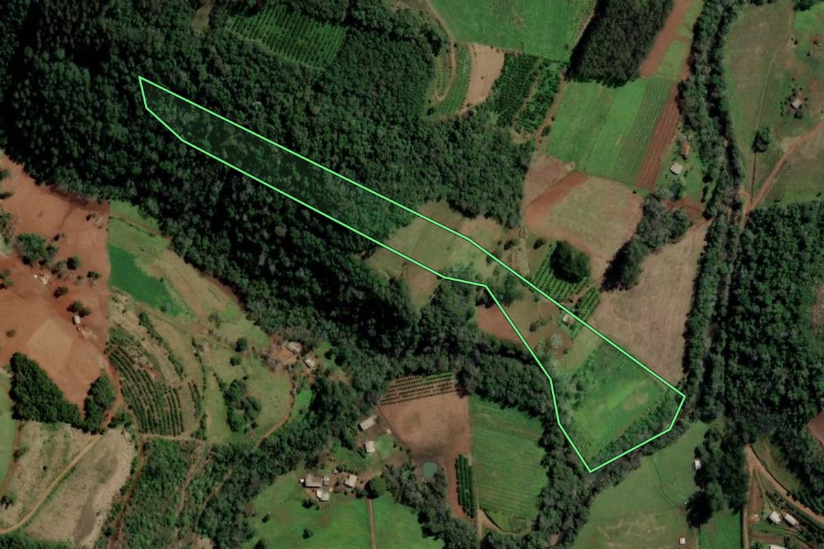 Imagem de satélite do imóvel rural em Alpestre (RS), com o contorno declarado no CAR desenhado por cima.